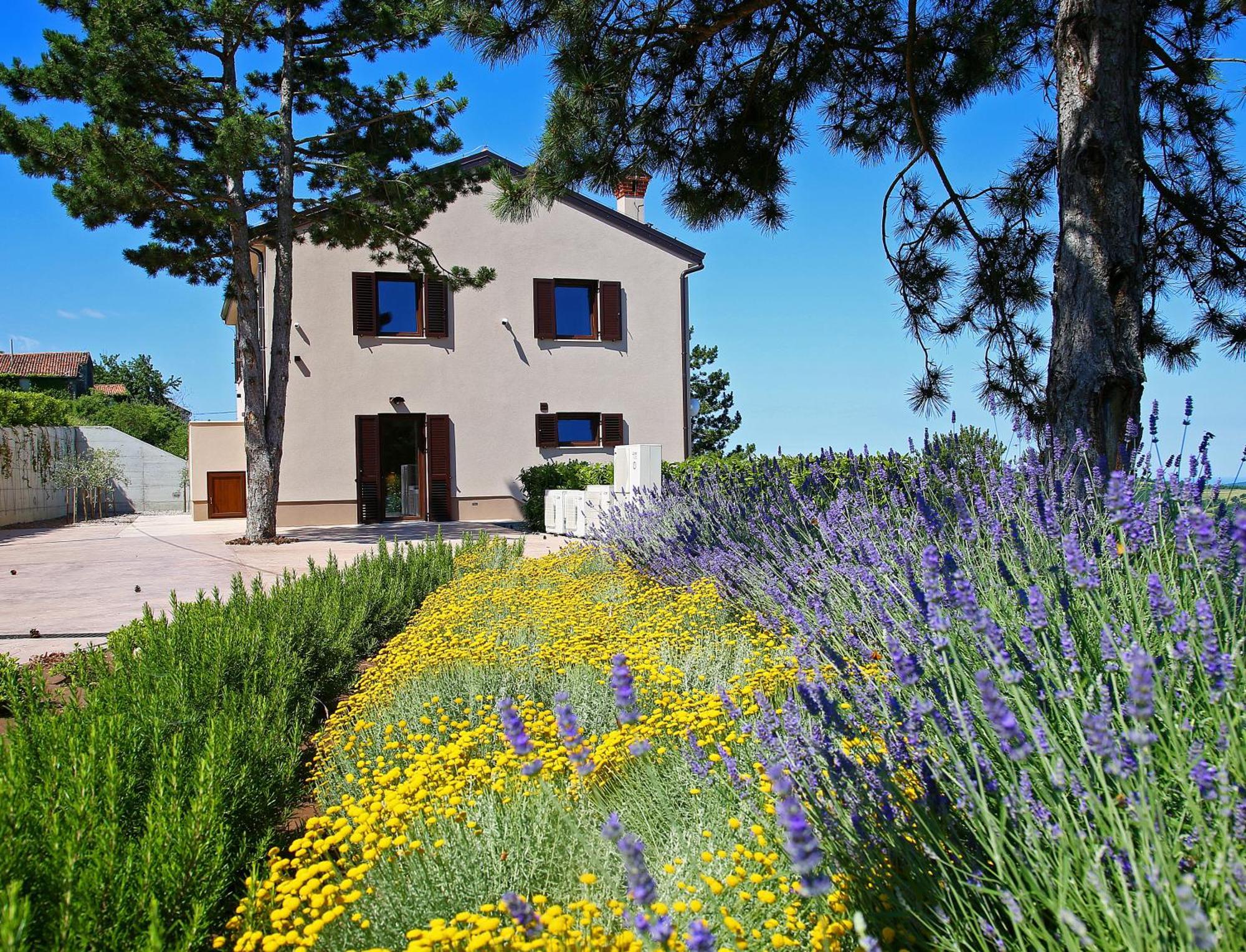 Luxury Villa Gradin Gračišče Eksteriør billede